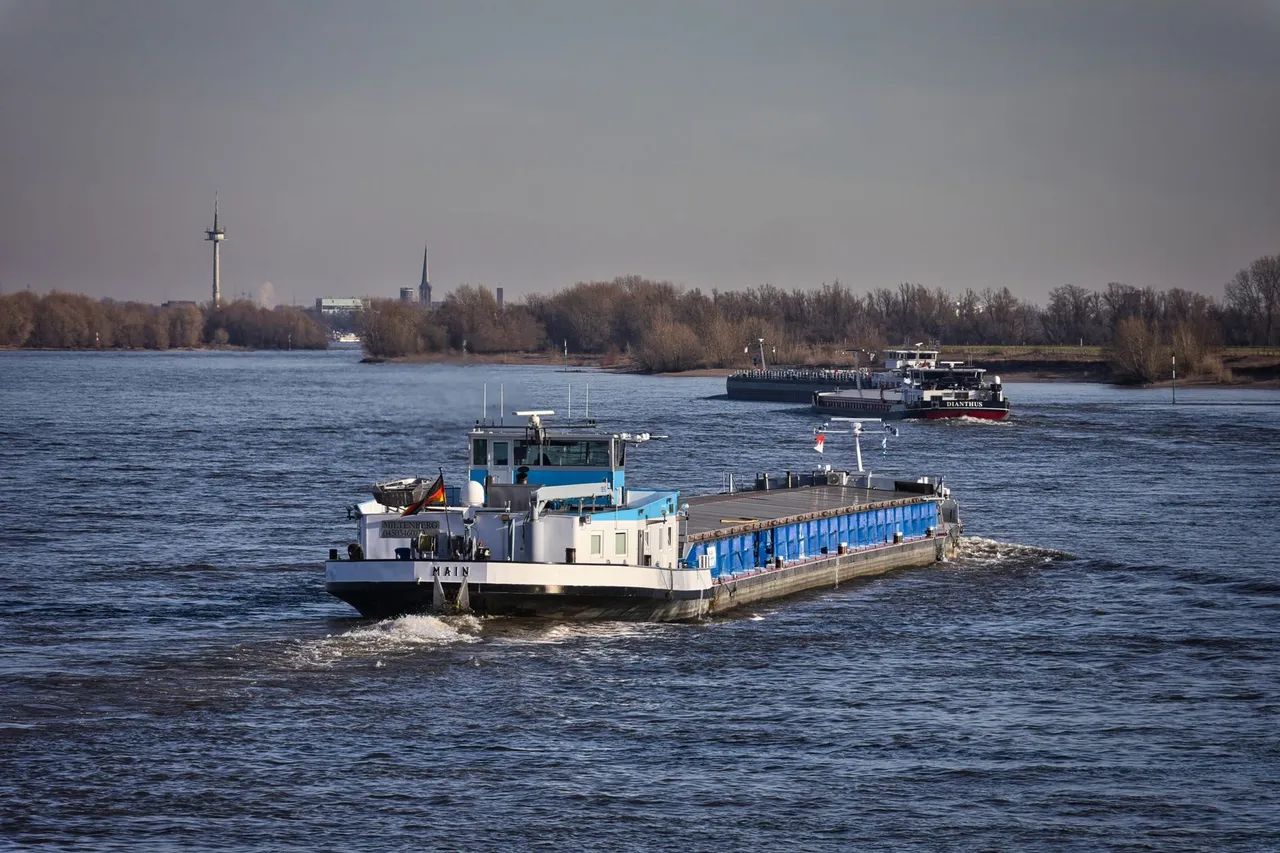 A cargo ship navigating the Rhine River with a cityscape in the background on a clear day.